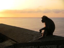 Ah...sunset by the sea. Taken at Bali, Indonesia. by Mohan Thanabalan 